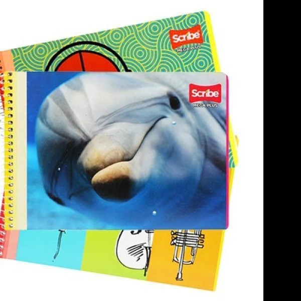 CUADERNO ITAL. MEGA SCRIBE 4533 C7MM. ESP. 100H. C.48